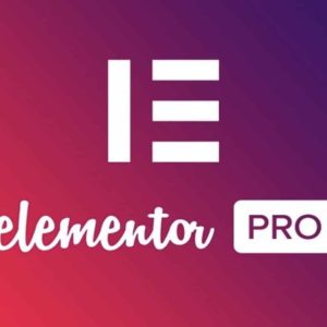 Elementor Pro